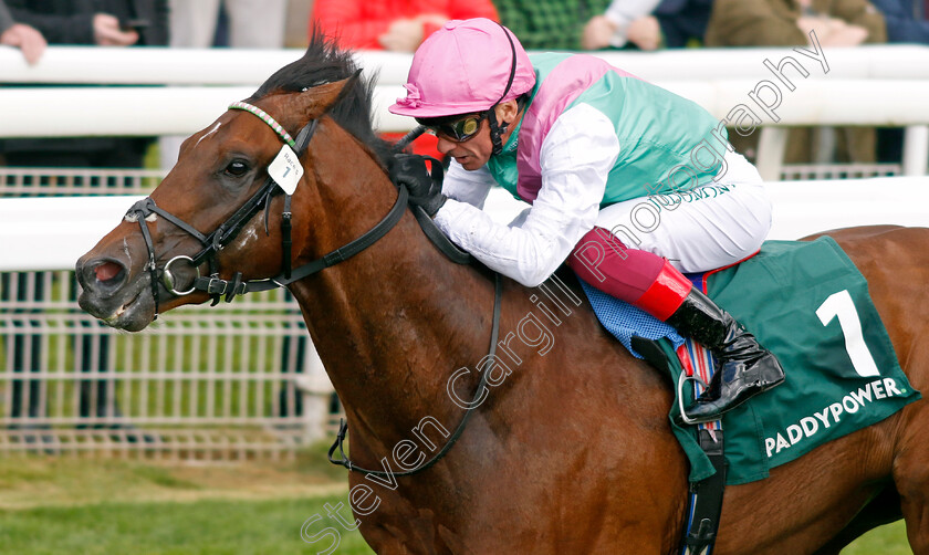 Samburu-0004 
 SAMBURU (Frankie Dettori) wins The Paddy Power Here For The Craic Handicap
York 11 May 2022 - Pic Steven Cargill / Racingfotos.com