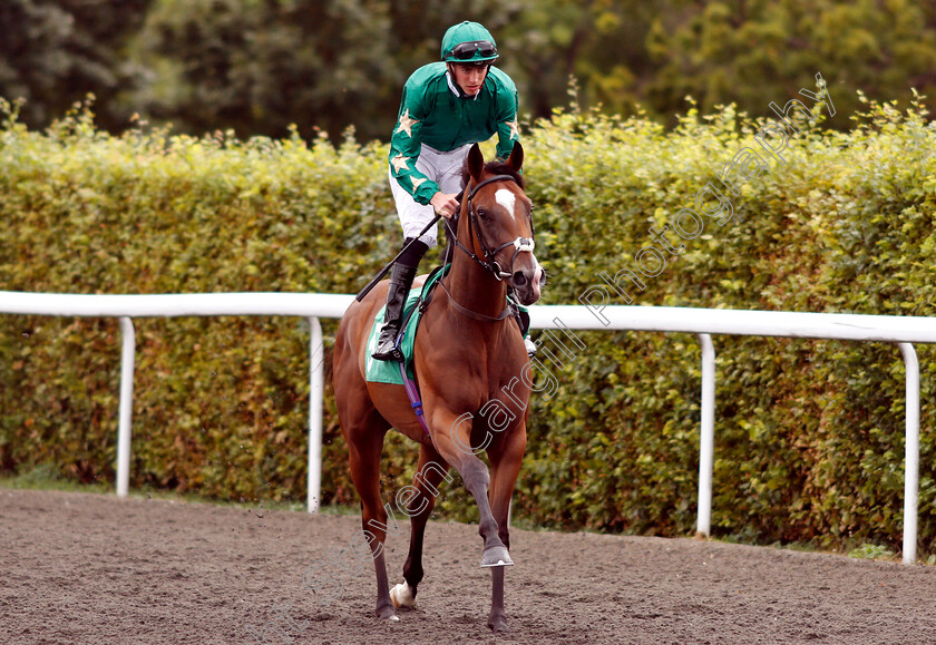 I-Am-Magical-0002 
 I AM MAGICAL (James Doyle)
Kempton 15 Aug 2018 - Pic Steven Cargill / Racingfotos.com