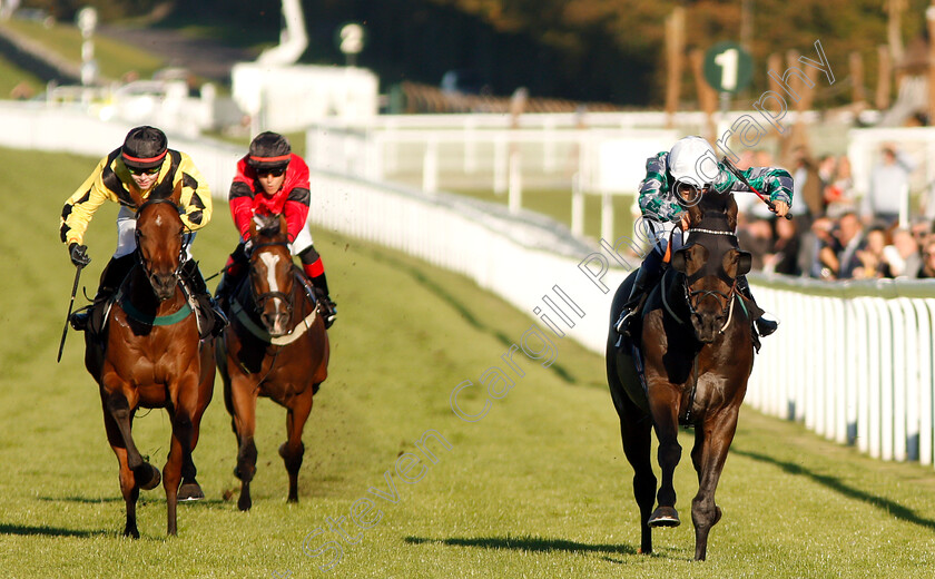 Captain-Lars-0001 
 CAPTAIN LARS (Pierre-Louis Jamin) wins The Heineken UK Apprentice Handicap
Goodwood 26 Sep 2018 - Pic Steven Cargill / Racingfotos.com