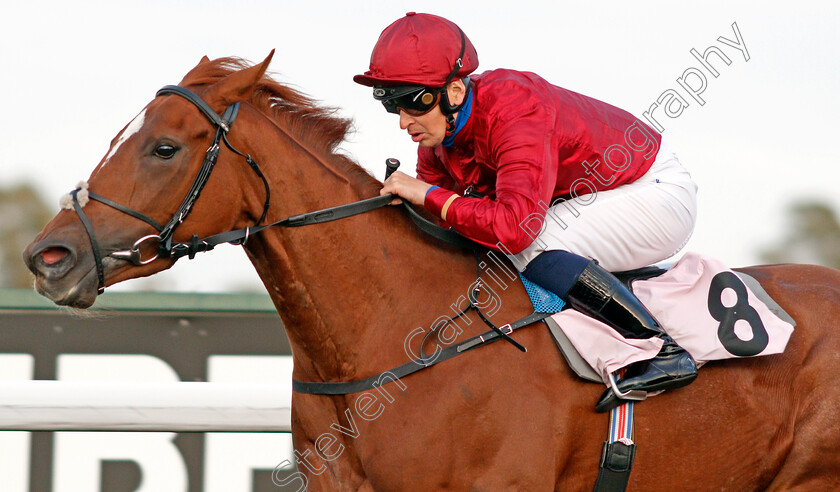 Maximum-Effect-0006 
 MAXIMUM EFFECT (Nicky Mackay) wins The Close Brothers Business Finance Maiden Fillies Stakes
Kempton 9 Oct 2019 - Pic Steven Cargill / Racingfotos.com