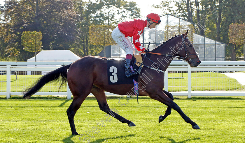 Hampden-Park-0005 
 HAMPDEN PARK (Oisin Murphy) winner of The Heros Novice Stakes
Ascot 6 Oct 2023 - Pic Steven Cargill / Racingfotos.com