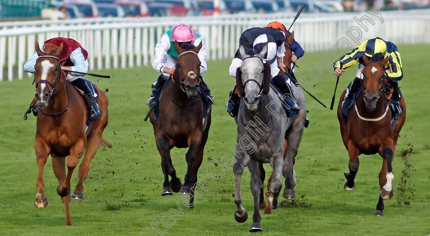 Mistressofillusion-0006 
 MISTRESSOFILLUSION (2nd right, Rossa Ryan) beats QUEEN EMMA (left) CHERRY (2nd left) and THERE'S THE DOOR (right) in The British EBF Ruby Anniversary Premier Fillies Handicap
Doncaster 15 Sep 2023 - Pic Steven Cargill / Racingfotos.com