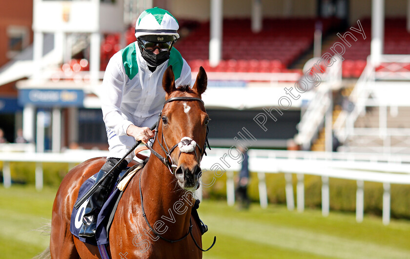 Youth-Spirit-0001 
 YOUTH SPIRIT (Tom Marquand) before winning The Chester Vase
Chester 5 May 2021 - Pic Steven Cargill / Racingfotos.com