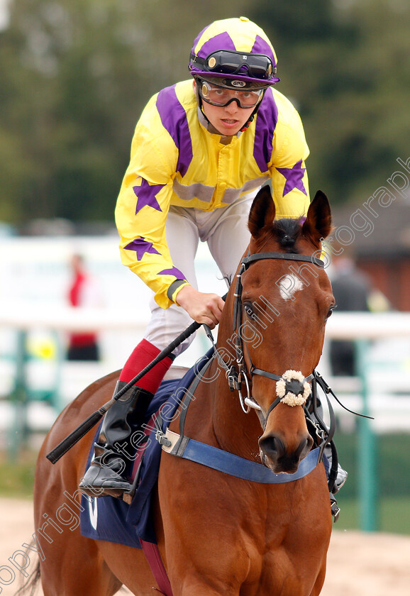 Night-Fury-0001 
 NIGHT FURY (Theosore Ladd)
Southwell 29 Apr 2019 - Pic Steven Cargill / Racingfotos.com