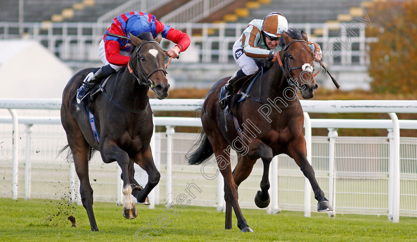 Land-Of-Winter-0003 
 LAND OF WINTER (left, James Doyle) beats CAYIRLI (right) in The Download The tote Placepot App Handicap
Goodwood 11 Oct 2020 - Pic Steven Cargill / Racingfotos.com