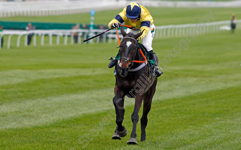 Excitable-Island-0003 
 EXCITABLE ISLAND (Gina Andrews) wins The Cheltenham Club Open Hunters Chase Cheltenham 4 May 2018 - Pic Steven Cargill / Racingfotos.com