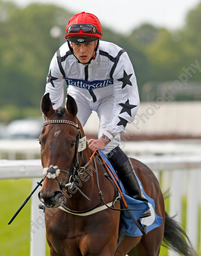 Poppy-Carrew 
 POPPY CARREW (Clifford Lee)
York 10 Jun 2022 - Pic Steven Cargill / Racingfotos.com