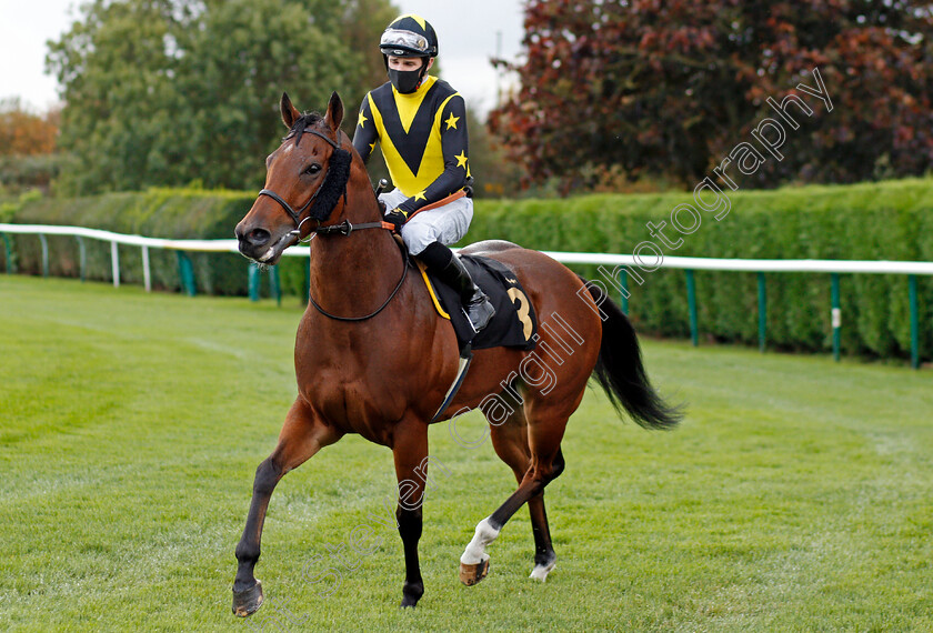 Aljady-0001 
 ALJADY (Charles Bishop)
Nottingham 14 Oct 2020 - Pic Steven Cargill / Racingfotos.com