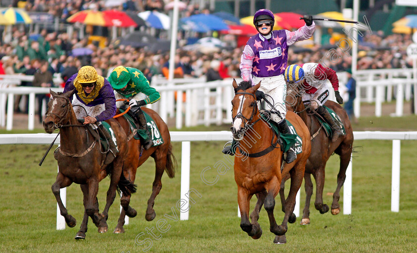 Mohaayed-0002 
 MOHAAYED (Bridget Andrews) wins The Randox Health County Handicap Hurdle Cheltenham 16 mar 2018 - Pic Steven Cargill / Racingfotos.com