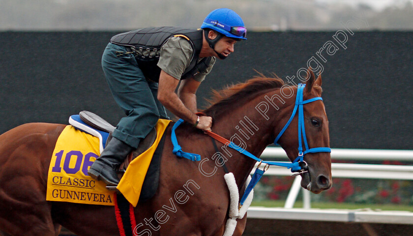 Gunnevera-0001 
 GUNNEVERA training for The Breeders' Cup Classic at Del Mar USA 31 Oct 2017 - Pic Steven Cargill / Racingfotos.com