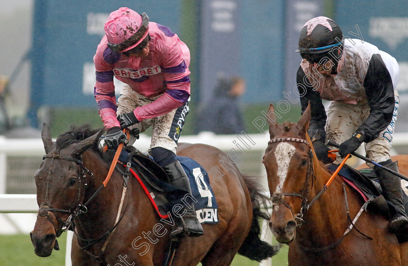 Crambo-0002 
 CRAMBO (left, Jonathan Burke) beats HIDDENVALLEY LAKE (right) in The Howden Long Walk Hurdle
Ascot 21 Dec 2024 - Pic Steven Cargill / Racingfotos.com