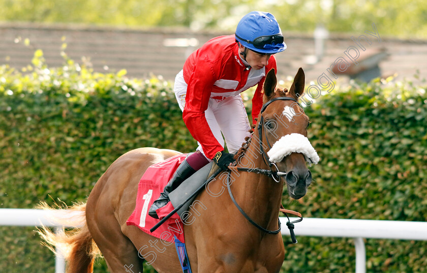 Art-Patron-0001 
 ART PATRON (Oisin Murphy)
Kempton 12 Jun 2024 - Pic Steven Cargill / Racingfotos.com