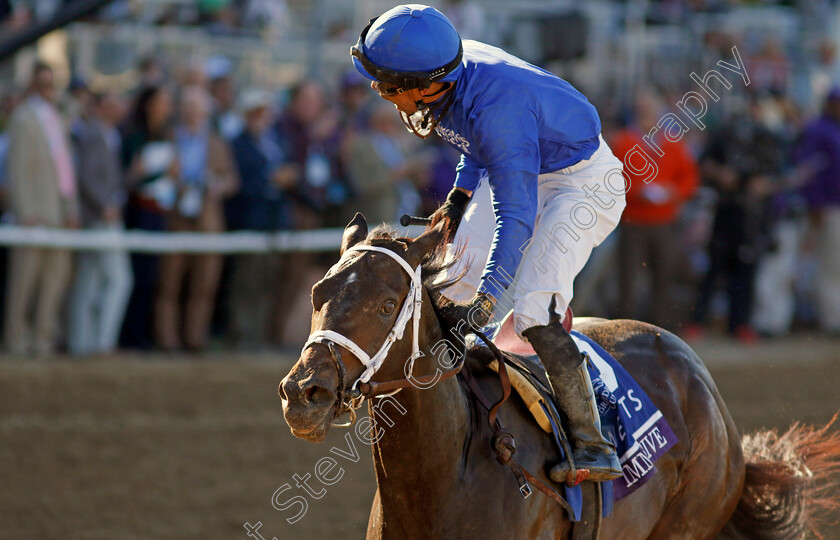 Immersive-0002 
 IMMERSIVE (Manuel Franco) Breeders' Cup Juvenile Fillies
Del Mar USA 1 Nov 2024 - Pic Steven Cargill / Racingfotos.com