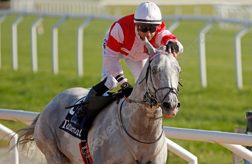 Duca-Di-Como-0004 
 DUCA DI COMO (Elione Chaves) after wins The Tattersalls Nickes Minneslopning for the fifth time.
Bro Park, Sweden 17 Sep 2023 - Pic Steven Cargill / Racingfotos.com