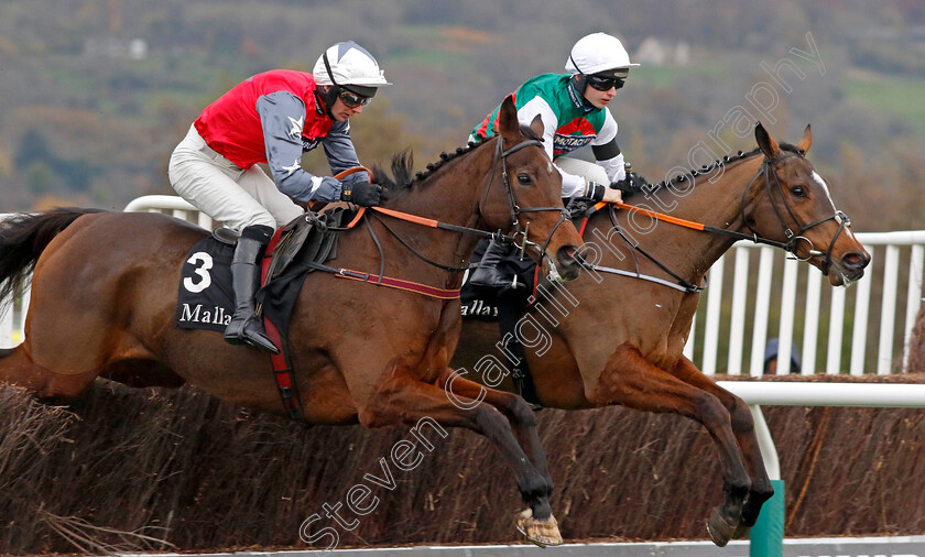 Westerninthepark-and-Primoz-0002 
 WESTERNINTHEPARK (right, Sean Bowen) with PRIMOZ (left, Derek Fox)
Cheltenham 17 Nov 2024 - Pic Steven Cargill / Racingfotos.com