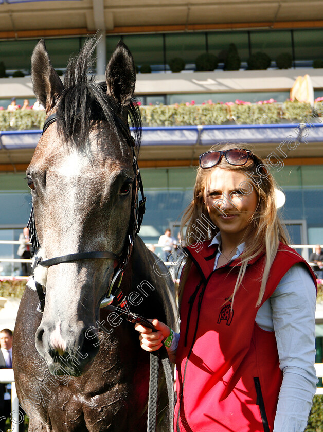 Silver-Quartz-0007 
 SILVER QUARTZ after The Weatherbys Handicap
Ascot 7 Sep 2018 - Pic Steven Cargill / Racingfotos.com