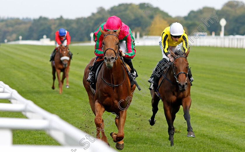 Seaward-0002 
 SEAWARD (Hector Crouch) wins The Memberships At Ascot EBF Fillies Novice Stakes
Ascot 8 Sep 2023 - Pic Steven Cargill / Racingfotos.com