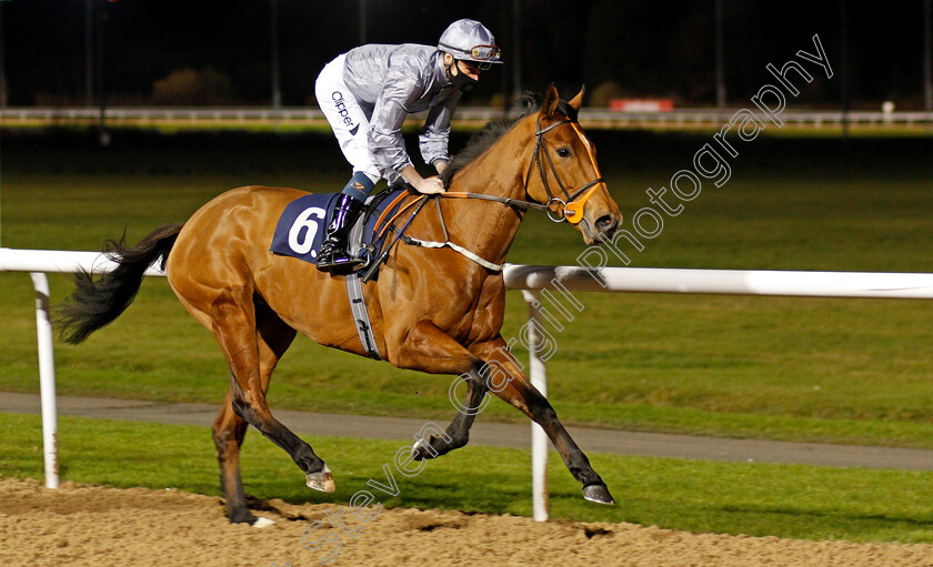 Fair-Praise-0001 
 FAIR PRAISE (Kieran Shoemark)
Wolverhampton 24 Nov 2020 - Pic Steven Cargill / Racingfotos.com