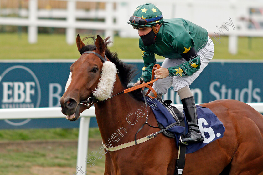 Repaupo-0001 
 REPAUPO (Kieran O'Neill)
Yarmouth 16 Sep 2020 - Pic Steven Cargill / Racingfotos.com