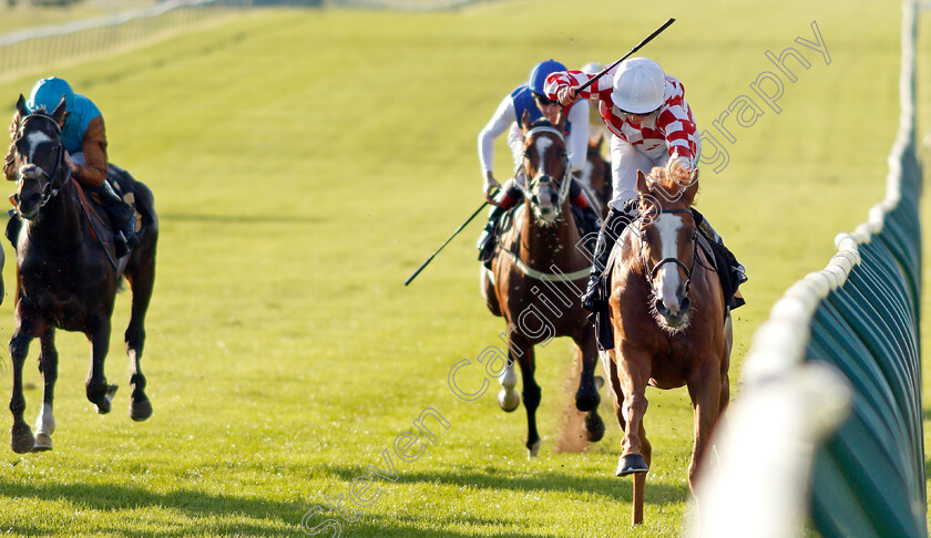 Rhebus-Road-0002 
 RHEBUS ROAD (Jane Elliott) wins The Newmarket Challenge Whip
Newmarket 23 Sep 2021 - Pic Steven Cargill / Racingfotos.com