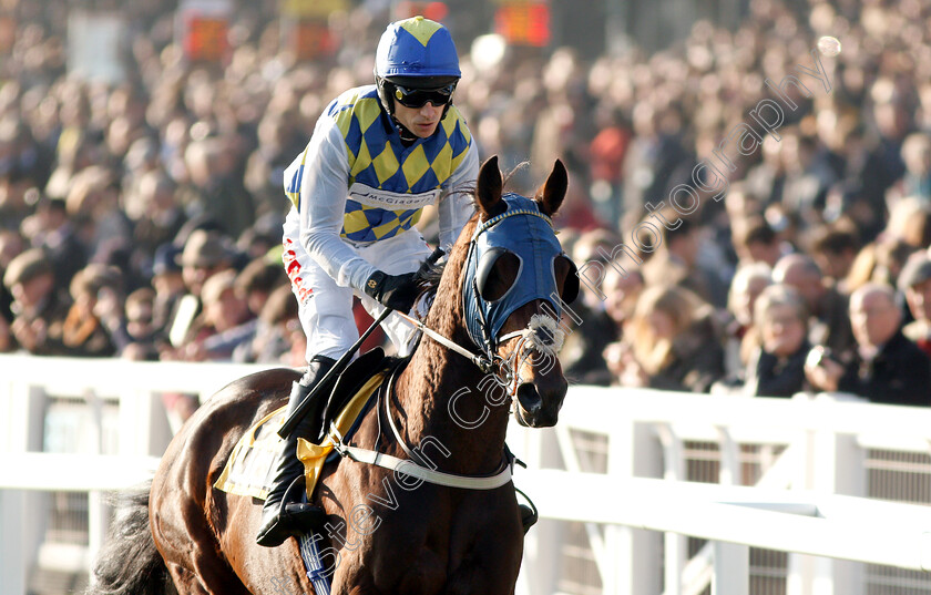 Needs-To-Be-Seen-0001 
 NEEDS TO BE SEEN (Paddy Brennan)
Cheltenham 17 Nov 2018 - Pic Steven Cargill / Racingfotos.com