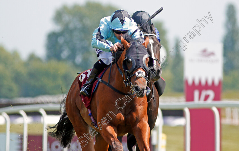 Never-Back-Down-0005 
 NEVER BACK DOWN (Silvestre De Sousa) wins The Shalaa Carnarvon Stakes Newbury 19 May 2018 - PIc Steven Cargill / Racingfotos.com