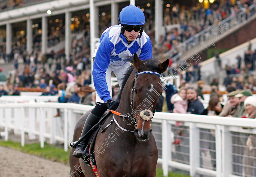 Napper-Tandy-0001 
 NAPPER TANDY (James Smith)
Cheltenham 17 Nov 2024 - Pic Steven Cargill / Racingfotos.com