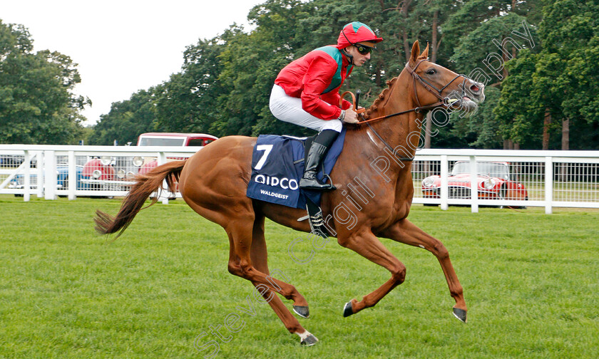 Waldgeist-0001 
 WALDGEIST (Pierre-Charles Boudot)
Ascot 27 Jul 2019 - Pic Steven Cargill / Racingfotos.com