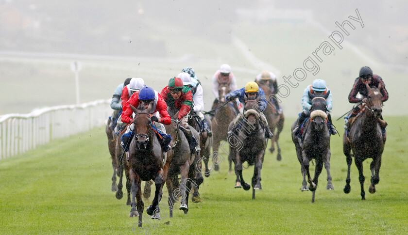 Formal-0008 
 FORMAL (Ryan Moore) wins The British EBF Fillies Novice Stakes
Leicester 10 Sep 2024 - Pic Steven Cargill / Racingfotos.com