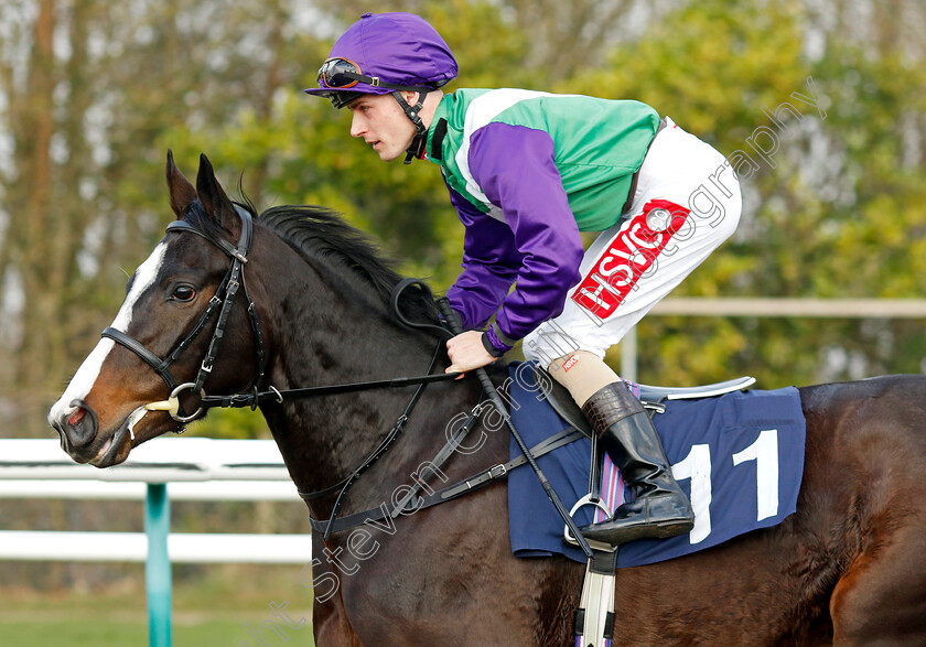 Princess-In-Rome-0006 
 PRINCESS IN ROME (Tyler Heard) winner of The Betmgm It's Showtime Restricted Maiden Stakes
Lingfield 7 Mar 2024 - Pic Steven Cargill / Racingfotos.com