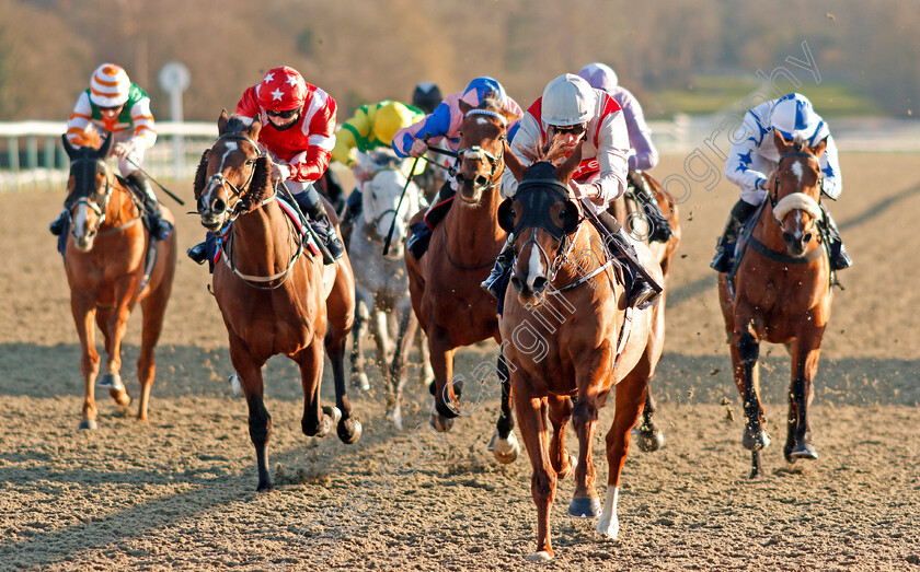 Rivas-Rob-Roy-0003 
 RIVAS ROB ROY (Kieran Shoemark) wins The Bombardier British Hopped Amber Beer Handicap Div2
Lingfield 26 Feb 2021 - Pic Steven Cargill / Racingfotos.com