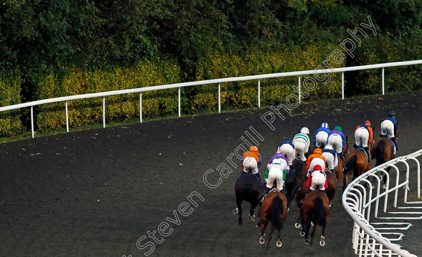 Kempton-0001 
 Racing away from the stands
Kempton 2 Oct 2024 - Pic Steven Cargill / Racingfotos.com