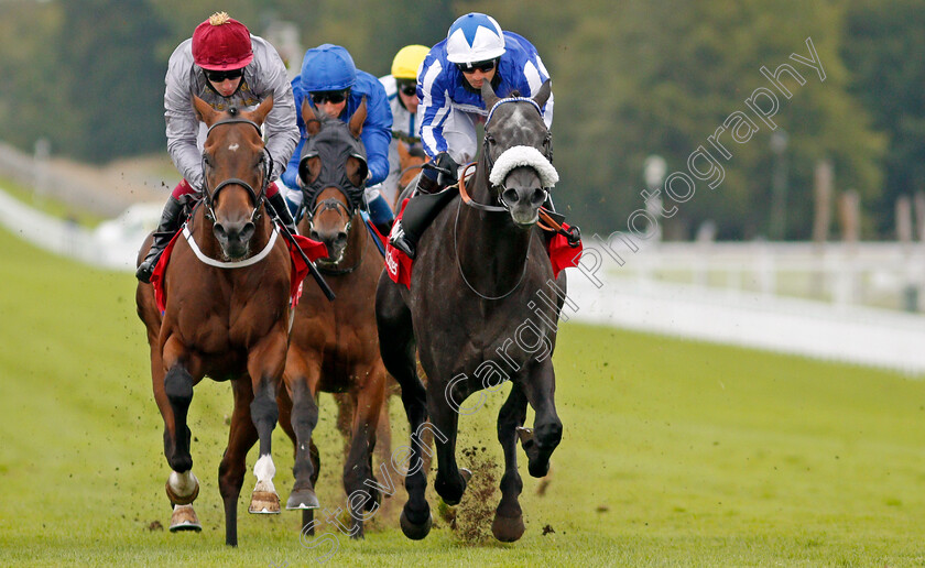 Happy-Power-0006 
 HAPPY POWER (right, Silvestre De Sousa) beats TORO STRIKE (left) in The Ladbrokes Supreme Stakes
Goodwood 30 Aug 2020 - Pic Steven Cargill / Racingfotos.com