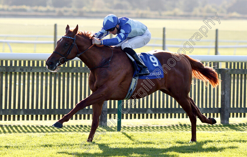 Skardu-0004 
 SKARDU (Martin Harley) wins The Derrinstown British EBF Maiden Stakes
Newmarket 28 Sep 2018 - Pic Steven Cargill / Racingfotos.com