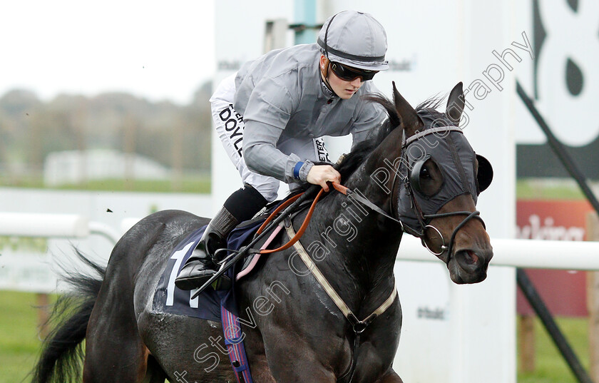 Summer-Blossom-0005 
 SUMMER BLOSSOM (Hollie Doyle) wins The Octagon Consultancy EBF Novice Stakes
Bath 17 Oct 2018 - Pic Steven Cargill / Racingfotos.com