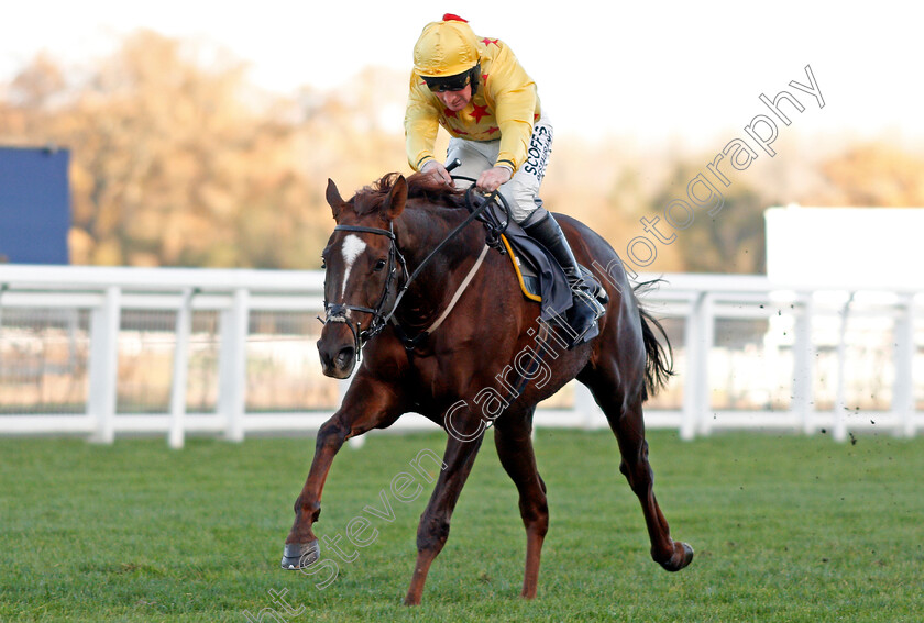 Count-Meribel-0005 
 COUNT MERIBEL (Mark Grant) wins The Mitie Events & Leisure Novices Hurdle Ascot 25 Nov 2017 - Pic Steven Cargill / Racingfotos.com