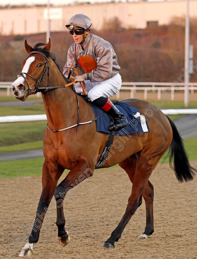 Eglish-0001 
 EGLISH (Ben Curtis) winner of The Ladbrokes Football Acca Boosty Handicap
Wolverhampton 20 Jan 2020 - Pic Steven Cargill / Racingfotos.com