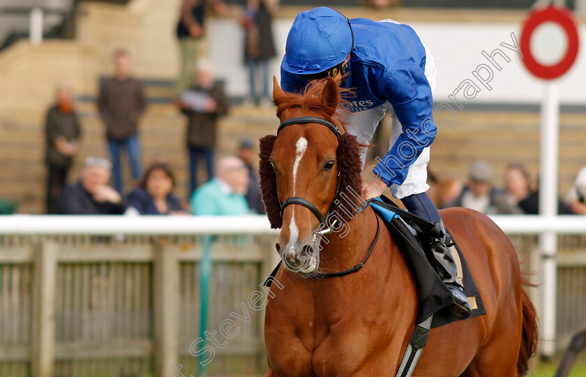 Watching-Stars-0002 
 WATCHING STARS (William Buick)
Newmarket 23 Oct 2024 - Pic Steven Cargill / Racingfotos.com