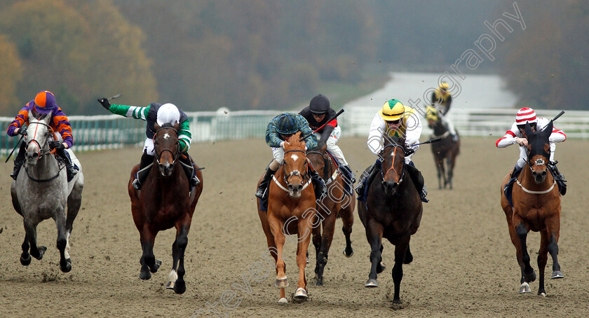 Silca-Mistress-0001 
 SILCA MISTRESS (centre, David Probert) beats HUMAN NATURE (2nd right) DRAKEFELL (2nd left) ANONYMOUS JOHN (left) and HIGHLAND ACCLAIM (right) in The Betway Sprint Handicap
Lingfield 20 Nov 2018 - Pic Steven Cargill / Racingfotos.com