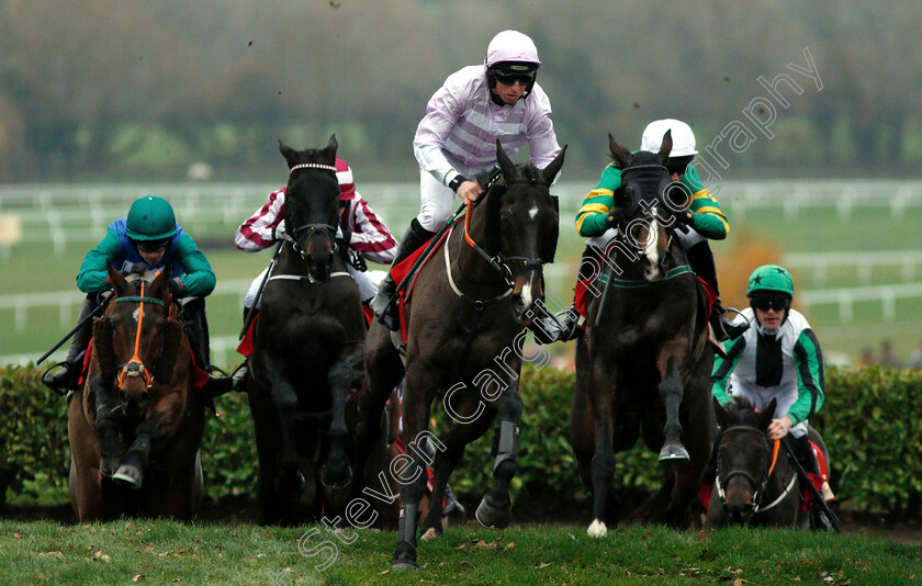 Josies-Orders-0003 
 JOSIES ORDERS (right, Mark Walsh) beats BLESS THE WINGS (left) in The Glenfartclas Cross Country Handicap Chase
Cheltenham 16 Nov 2018 - Pic Steven Cargill / Racingfotos.com