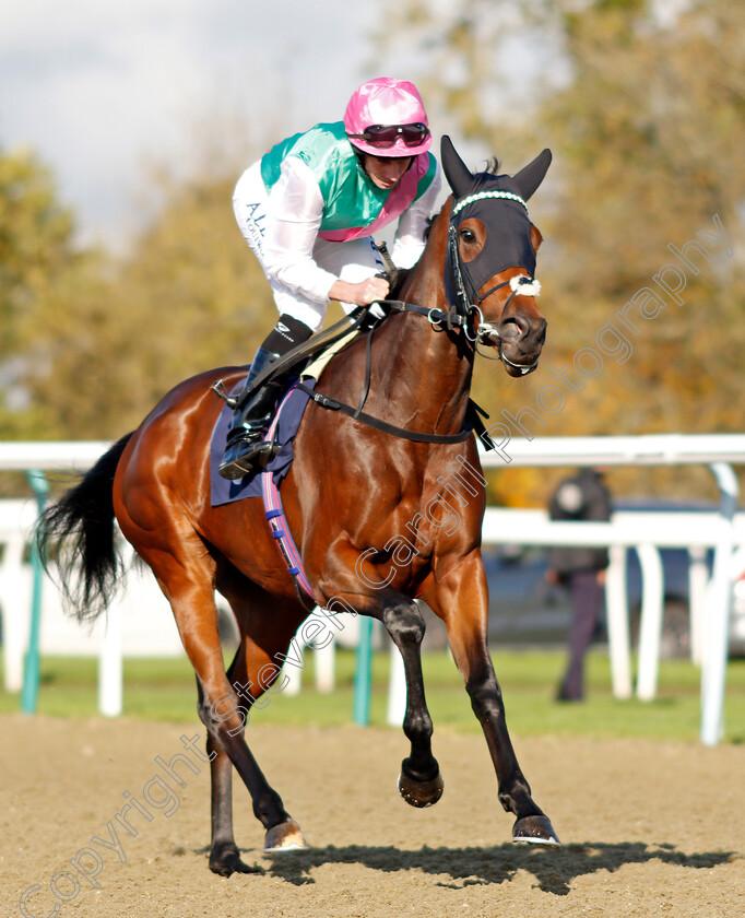 Brunnera-0001 
 BRUNNERA (Ryan Moore)
Lingfield 28 Oct 2021 - Pic Steven Cargill / Raingfotos.com