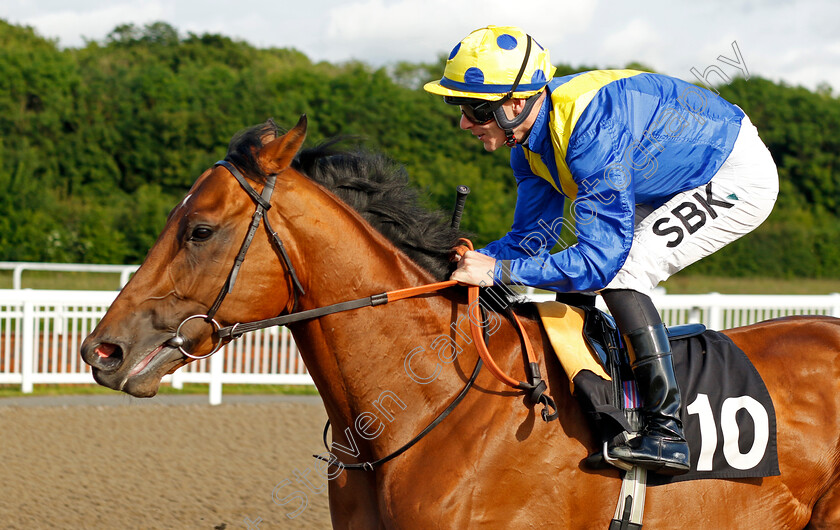 Kodiac-Sign 
 KODIAC SIGN (Richard Kingscote)
Chelmsford 7 Jun 2022 - Pic Steven Cargill / Racingfotos.com