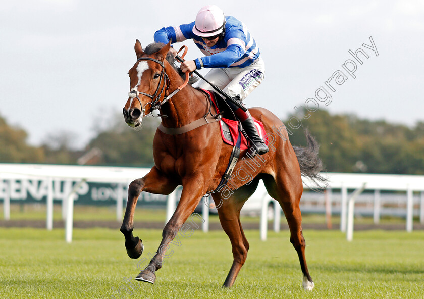 Risk-And-Roll-0004 
 RISK AND ROLL (Sam Twiston-Davies) wins The Matchbook Betting Exchange Juvenile Hurdle Kempton 22 oct 2017 - Pic Steven Cargill / Racingfotos.com