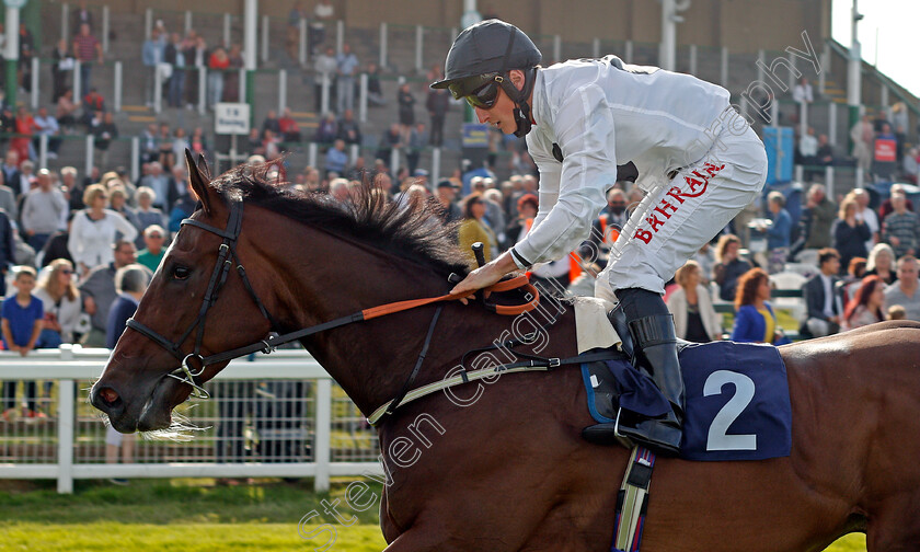 Bake-0008 
 BAKE (Tom Marquand) wins The Download The Quinnbet App Median Auction Maiden Stakes
Yarmouth 14 Jul 2021 - Pic Steven Cargill / Racingfotos.com