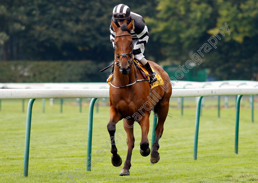 No-Say-Ever-0001 
 NO SAY EVER (Franny Norton)
Haydock 7 Sep 2024 - Pic Steven Cargill / Racingfotos.com