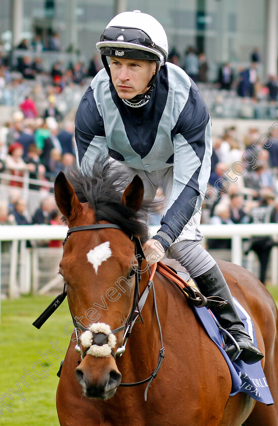 Passenger-0005 
 PASSENGER (Richard Kingscote)
York 18 May 2023 - Pic Steven Cargill / Racingfotos.com