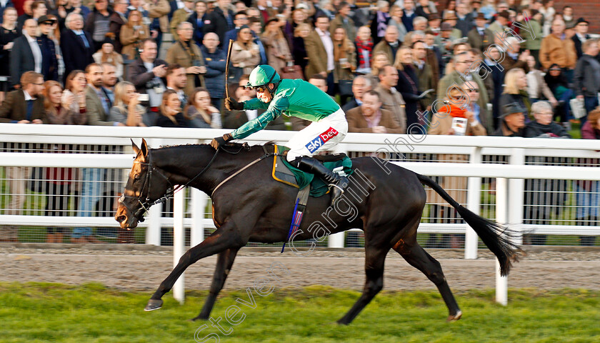 Calett-Mad-0003 
 CALETT MAD (Daryl Jacob) wins The Junior Jumpers Novices Hurdle Cheltenham 28 oct 2017 - Pic Steven Cargill / Racingfotos.com