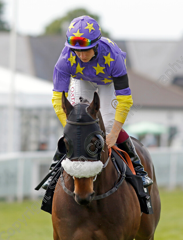 Larado-0002 
 LARADO (Cieren Fallon)
Epsom 3 Jul 2022 - Pic Steven Cargill / Racingfotos.com