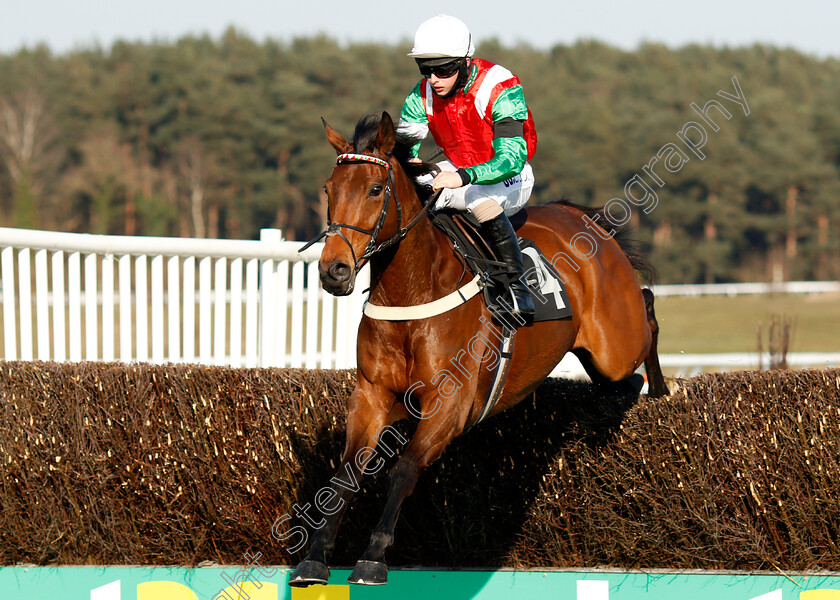 Rooster-Cogburn-0002 
 ROOSTER COGBURN (Sean Bowen) wins The Mansionbet Proud To Support British Racing Handicap Chase
Market Rasen 19 Apr 2021 - Pic Steven Cargill / Racingfotos.com