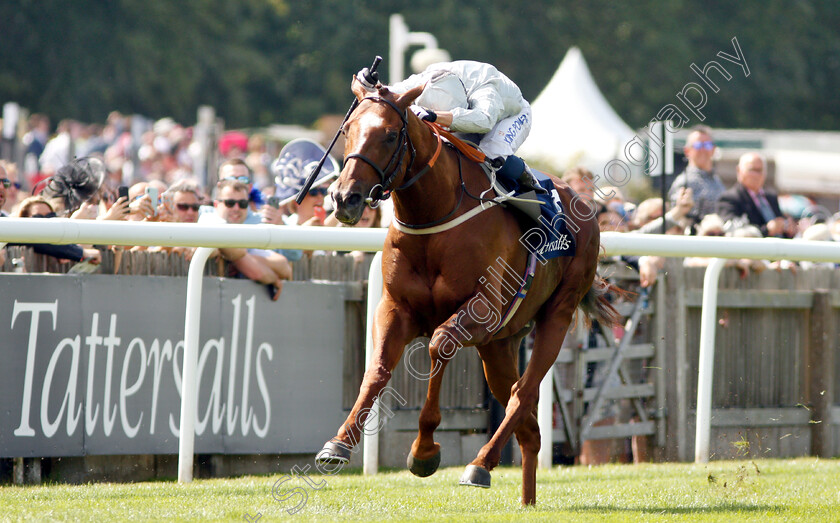 Communique-0006 
 COMMUNIQUE (Silvestre De Sousa) wins The Princess Of Wales's Stakes
Newmarket 11 Jul 2019 - Pic Steven Cargill / Racingfotos.com